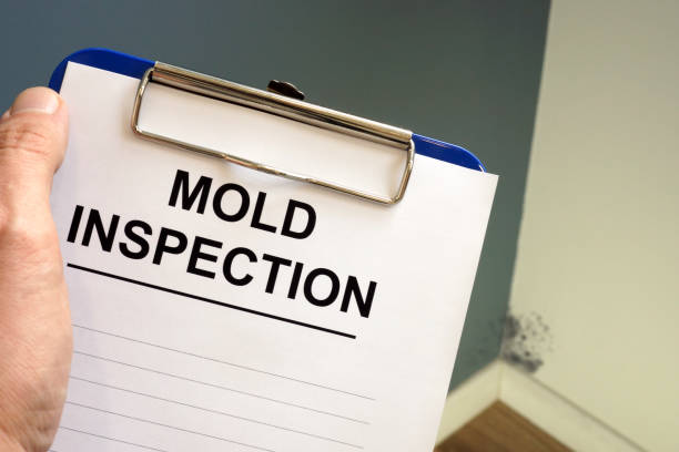 Best Crawl Space Mold Remediation  in Hellertown, PA